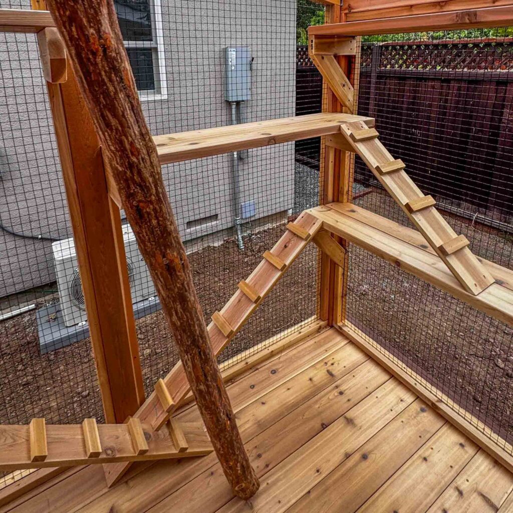 Corner interior of catio with two connected wooden ramps, a platform, and a vertical tree branch for climbing enrichment.