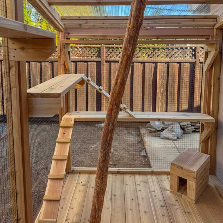 Catio interior with a wooden ramp leading to a mid-level platform, natural tree branch climbing post, and open mesh walls overlooking a fenced backyard.