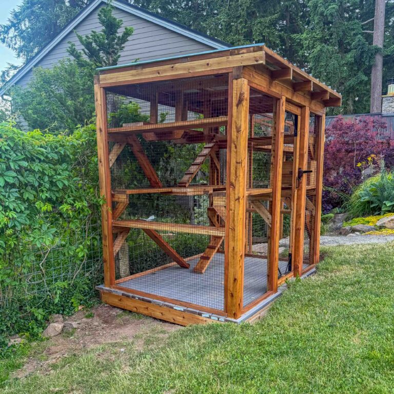 Freestanding custom catio with cedar wood framing, secure wire mesh enclosure, multiple climbing ramps, elevated shelves, and a covered roof located in a landscaped backyard.