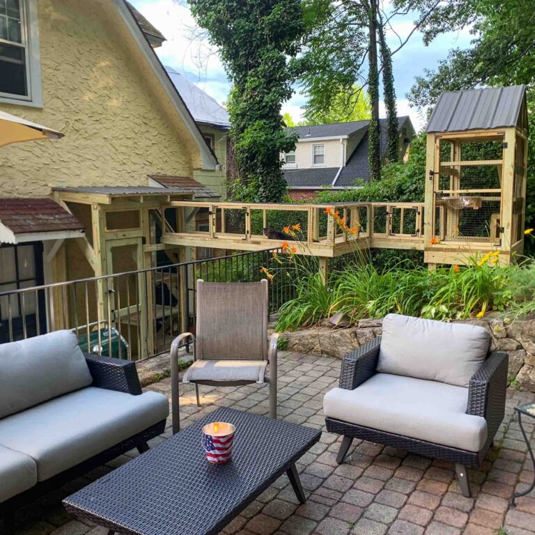 Custom catio system with elevated cat tunnel, enclosed cat tower, and attached outdoor cat enclosure extending across a landscaped backyard patio.