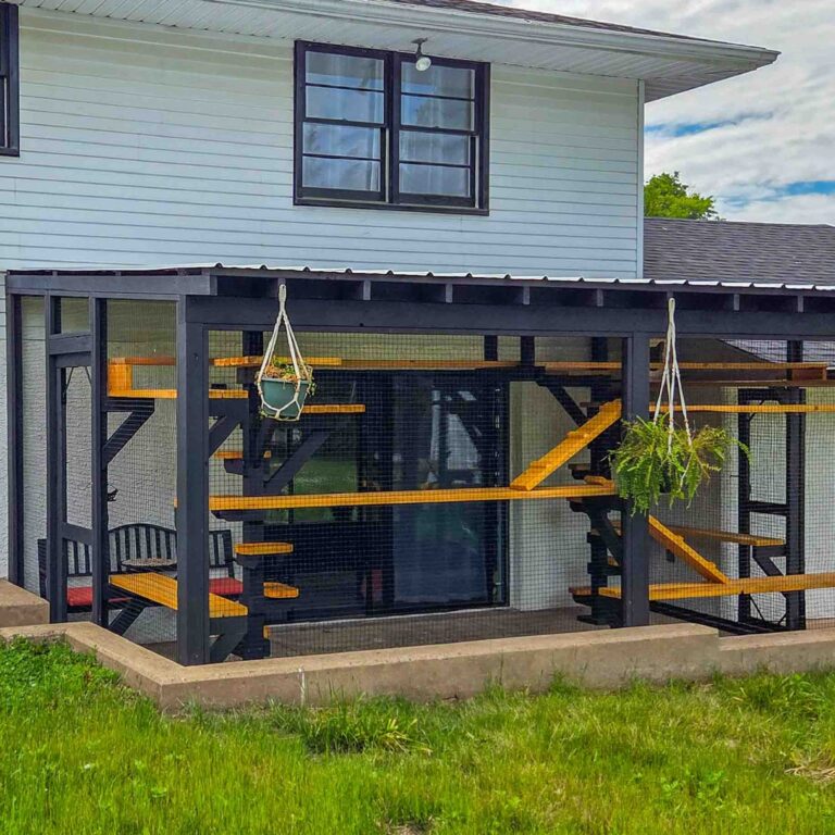 Large custom backyard catio attached to a home featuring black framing, natural wood cat shelves, multiple climbing levels, hanging planters, and a covered roof structure.