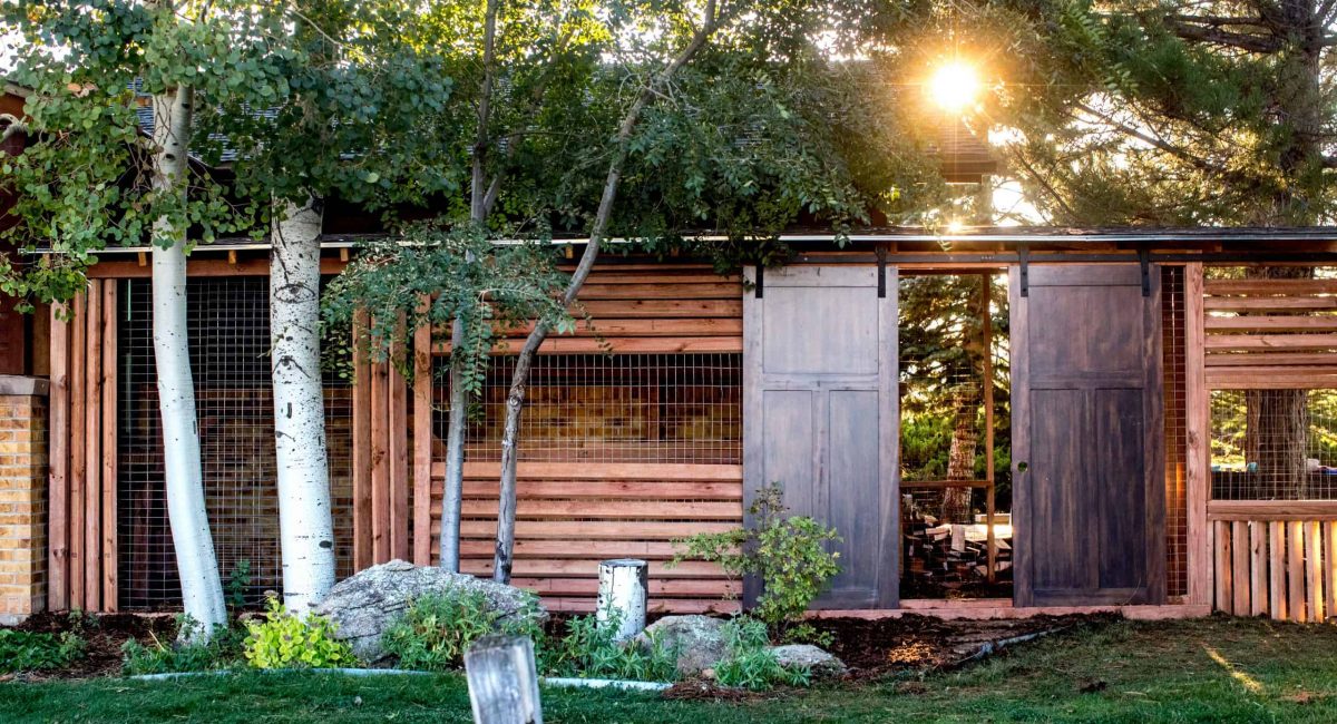 cat cat topia cat enclosure catio decorating ideas