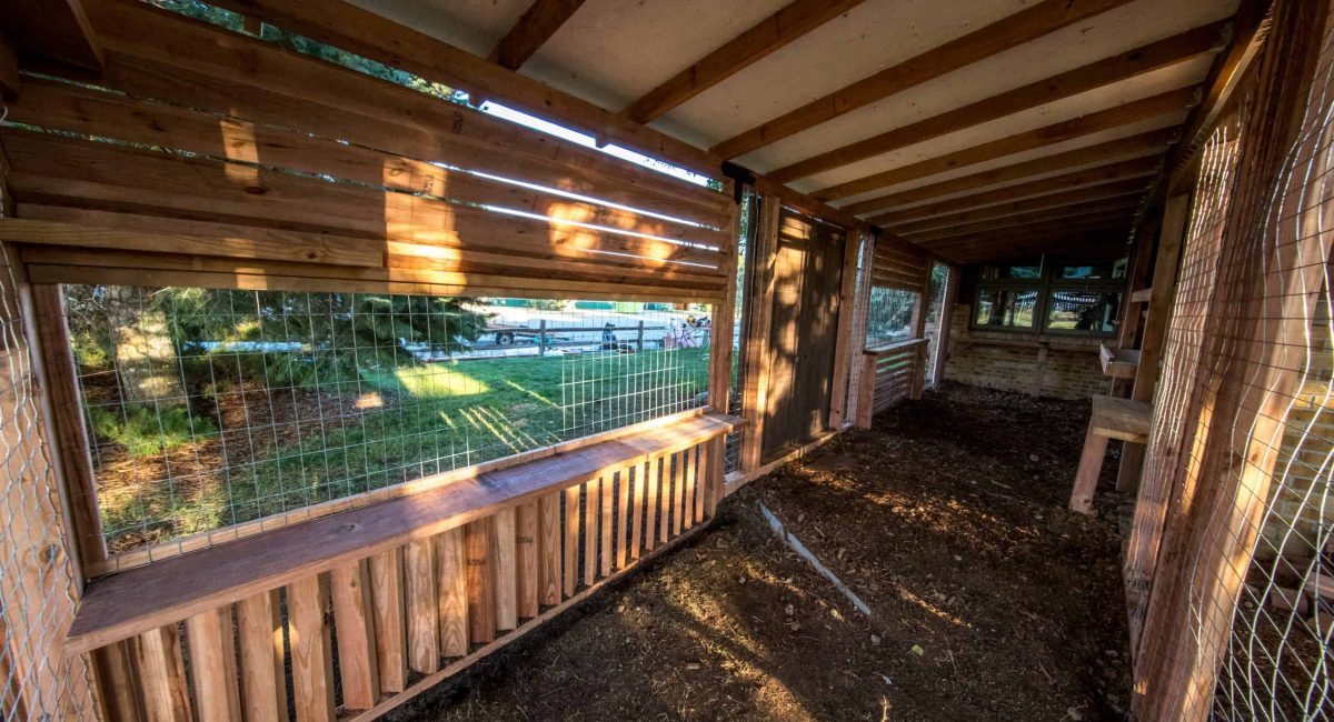 interior of catio photo