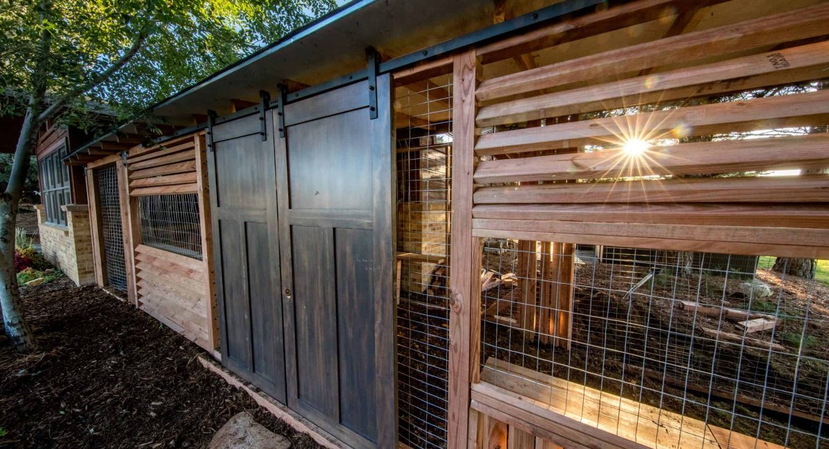 catio photo by cat topia