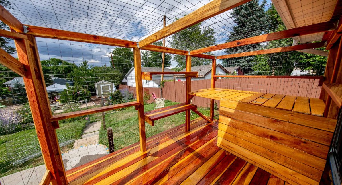 interior of catio
