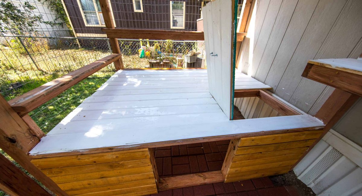 cat house litter box
