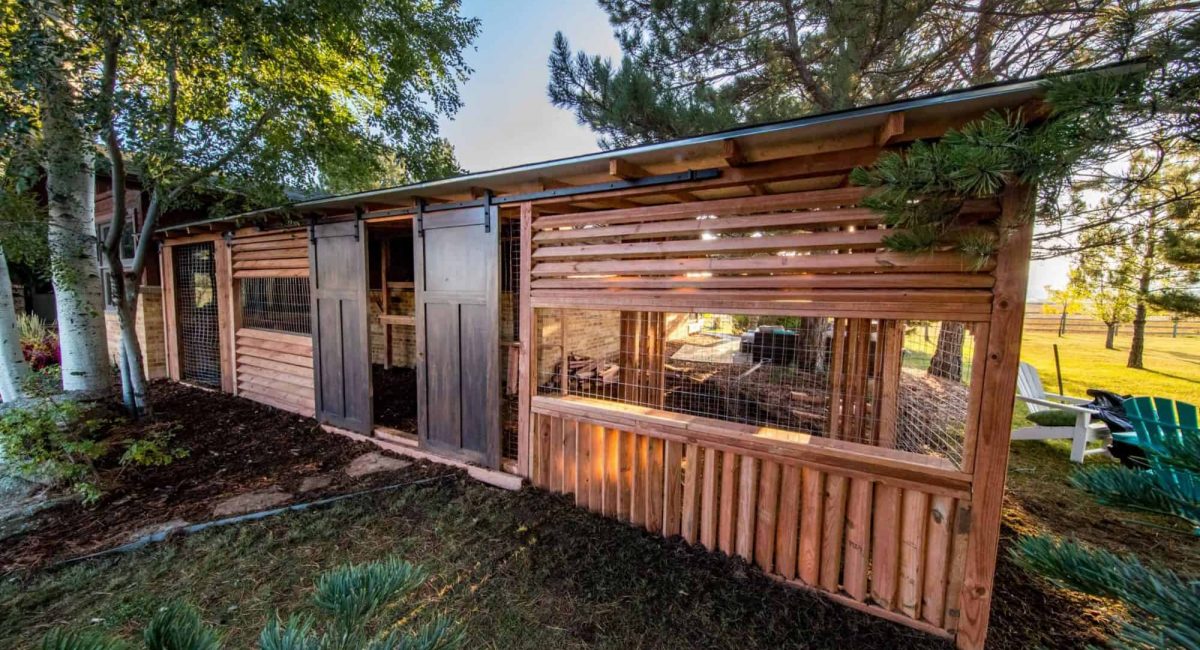 catio