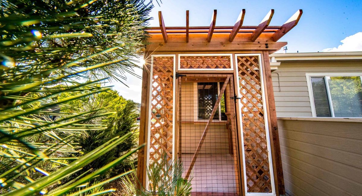 pergola style catio