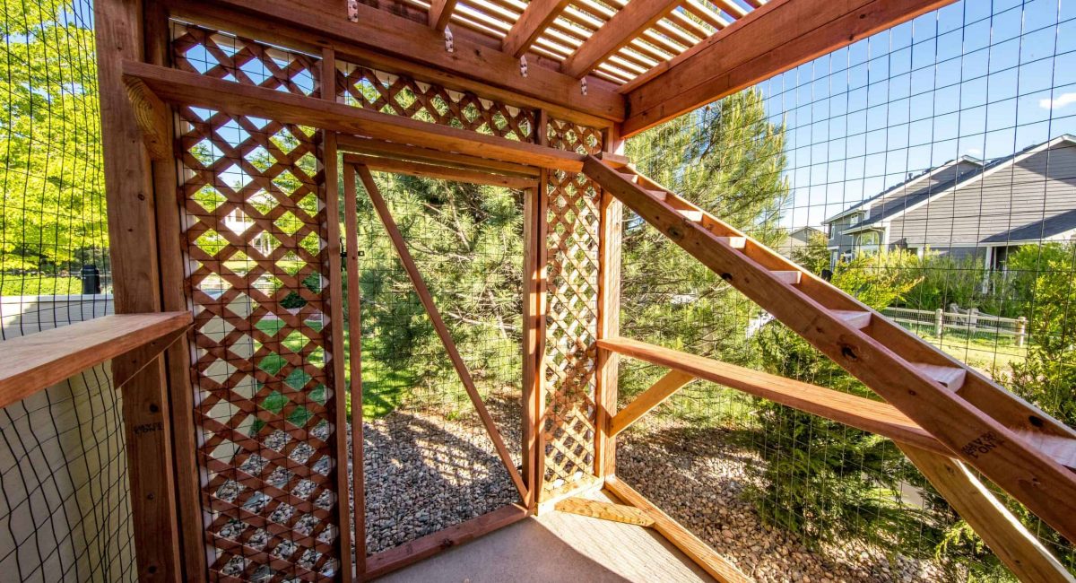 purrgola catio interior
